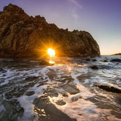 LA Disconnected- Dolla