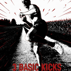 3 BASIC KICKS