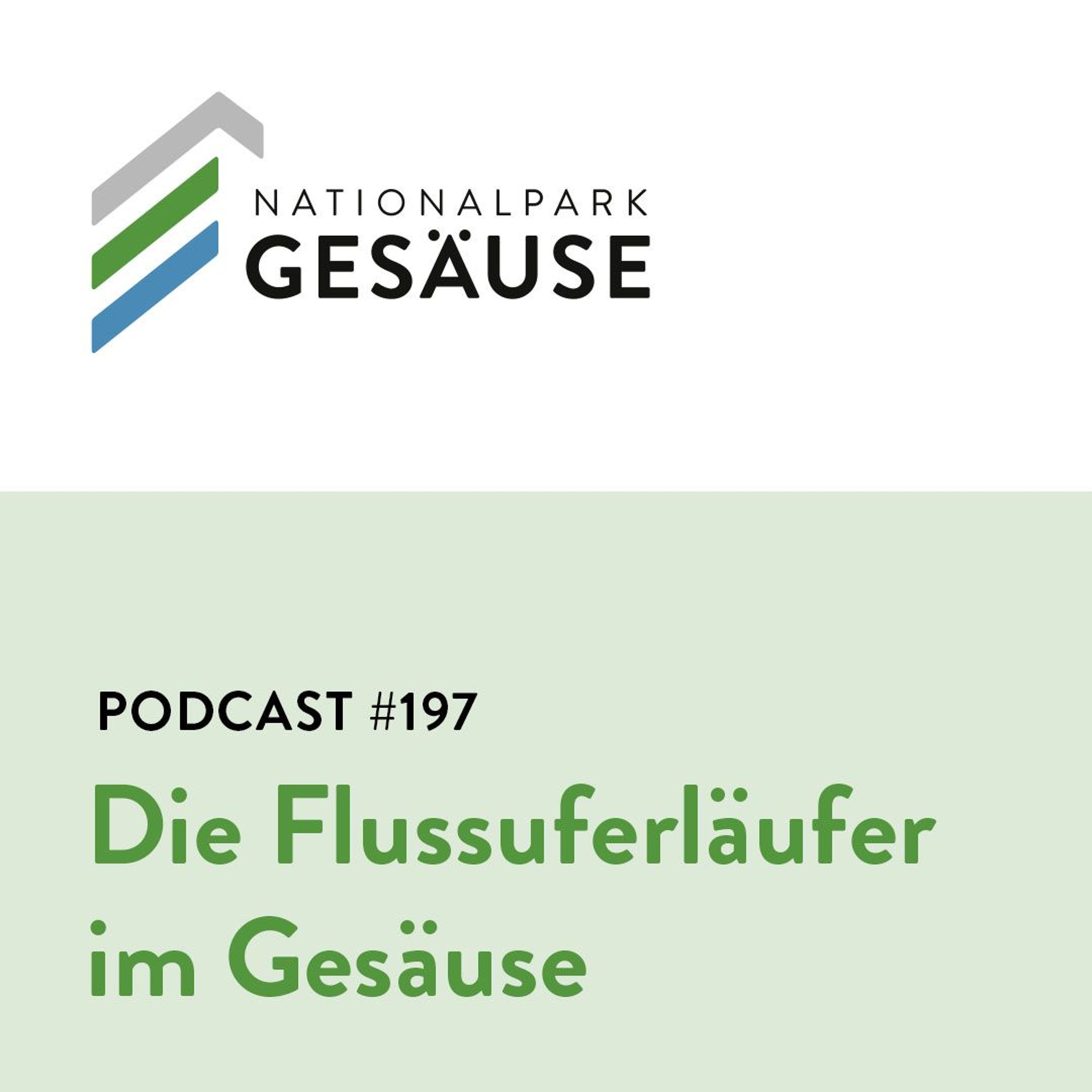 Nationalpark Gesäuse Podcast