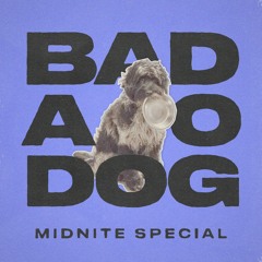 Bad Dog (Demo)