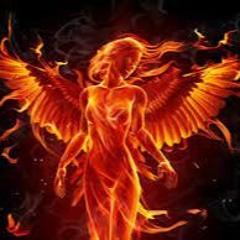 LILT GRAVITY - PHOENIX (ORIGINAL)