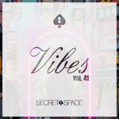 Vibes Vol.41