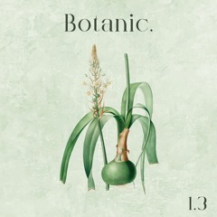 Botanic Sprout - 1.3 - Vtōr