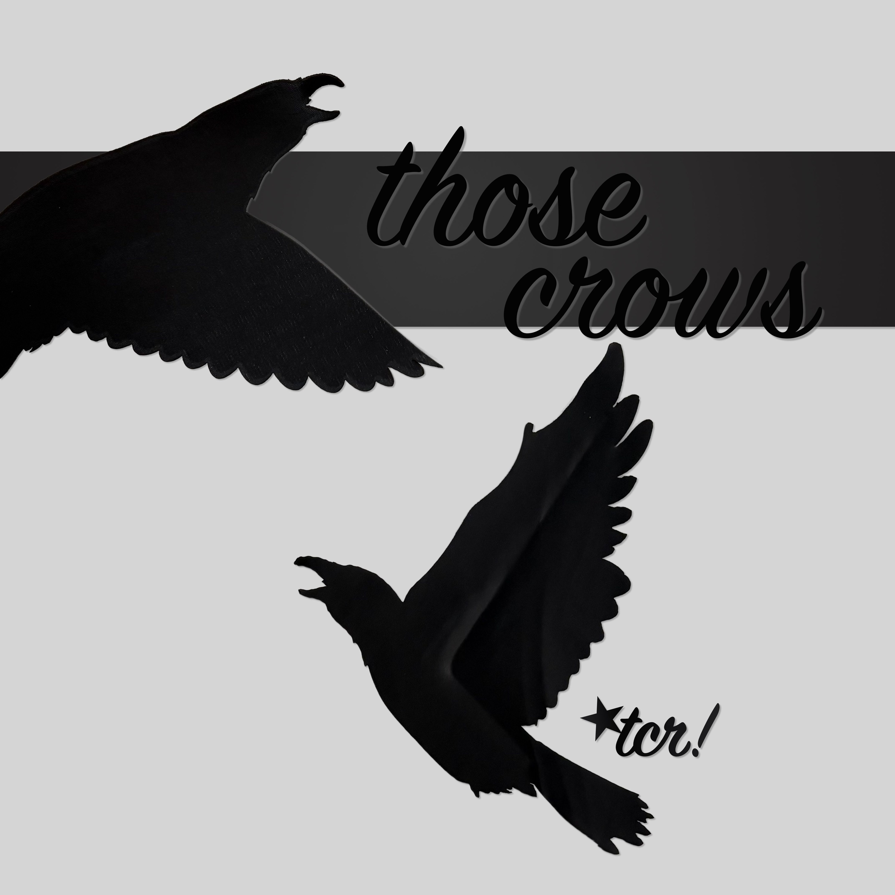 those crows episode artwork