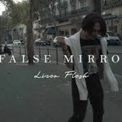 LIZER & FLESH - FALSE MIRROR / slowed & reverb by reverbslowed