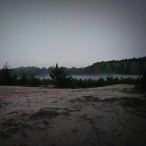 Stoned durch den Wald [Tekno23]