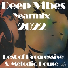 Deep Vibes Yearmix 2022 Melodic House & Techno [Innellea, Kevin De Vries, Tinlicker, Lexer & more]