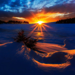 Swordwish - Winter sun