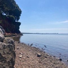 Helen Hicks - Swimming in the Exe