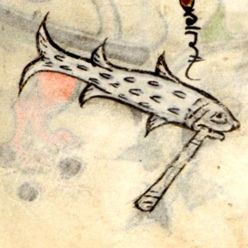 sieznajdziezawszesie (oorghe)