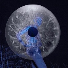 U DONT HAVE TO SEE ME