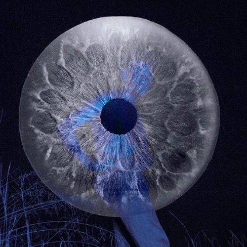 U DONT HAVE TO SEE ME