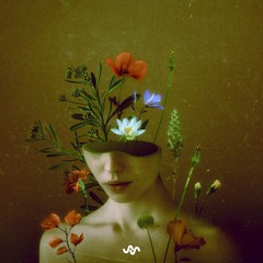 Rooted Together (feat. Jonas Blomqvist)