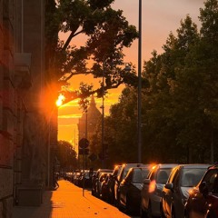 The Sun