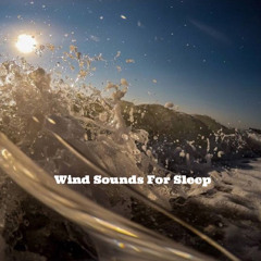 Wind and Ocean Waves for Sleep