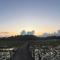 THE LONG WAIT (Prod. GAXILLIC)