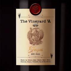 PREMIERE: Gidoco - Vaiakel feat. Omer [Grapes]