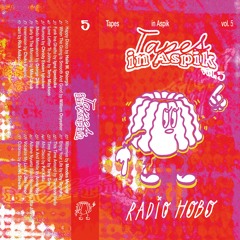 Tapes in Aspik Vol. 5 // DJ Radio Hobo