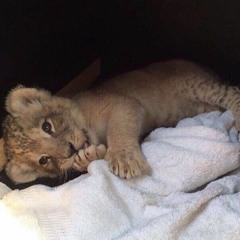 Где же ты Я люблю тебя до слепоты (remix 2021)