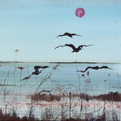 Two Shores (feat. Sally Timms)