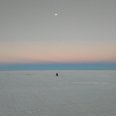 Pfefferminz mit Honig (Sauna Edit)