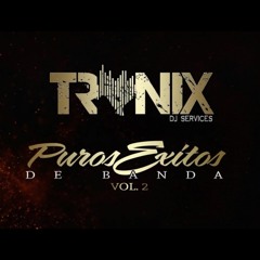 Puros Exitos De Banda Vol. 2