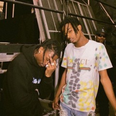 Travis Scott - FE!N (Speed Garage Remix) [ft. Playboi Carti]