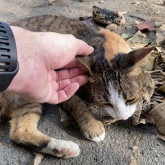 เห้ยย เพราะอยุ่นะเนี่ยะะ นี่ขนาดเกามั่วๆ demo.m4a