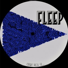 4 - Fleep - Temazo (original Mix)
