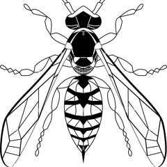 Wasp