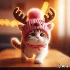 Elyk- Kitten Kaboodle