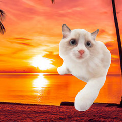 Sunset at the beach