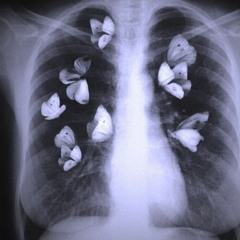 إِنَّا سَمِعْنَا قُرْآنًا عَجَبًا