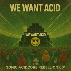 We Want Acid – Sonic AcidCore Rebellion 001