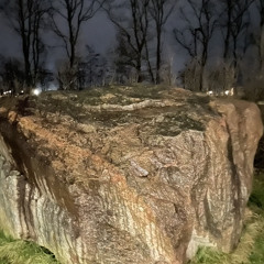 Æsel Lyd [prod. M1K]