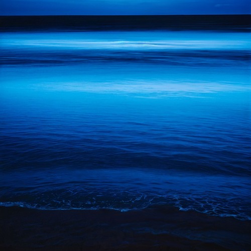 Logan Sedona - Nocturnal