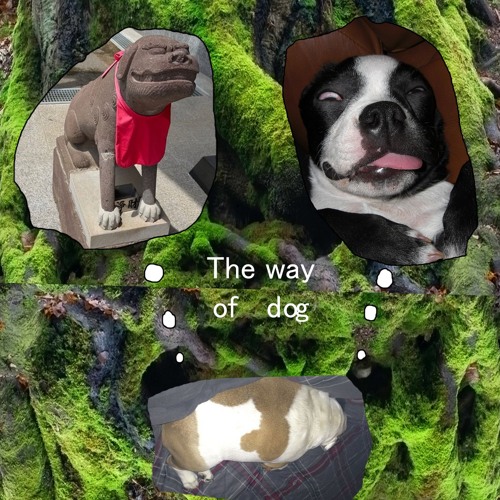 Syncope sycamore tree