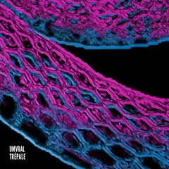 PREMIERE265 // Umvral - Trépale (Favio Inker Remix)
