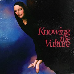 Knowing The Vulture