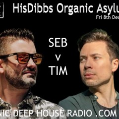HisDibbs Organic Asylum Tim v Seb B2B 08-12-2023