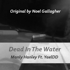 [Cover]Noel Gallagher - Dead In The Water (Manly Hanley Ft. YaelDD)