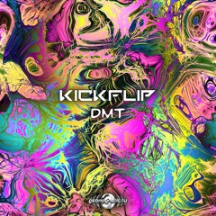 KickFlip - DMT (​geosp134 - Geomagnetic Records)