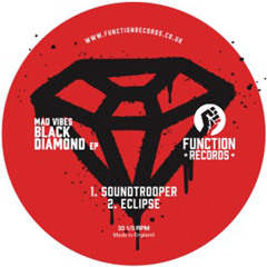 The Black Hole