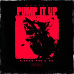 Pump It Up - Danzel (DJ Encore 'Pump It' Edit)