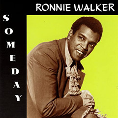 Ronnie Walker - Someday