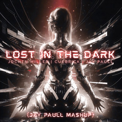 Jochen Miller & Cuebrick vs. Jay Paull - Lost In The Dark [Jay Paull Mashup]