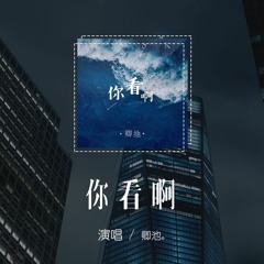 卿池 - 你看啊「青春幾歲 愛過誰，最後習慣一個人的宿醉」【動態歌詞/pīn yīn gē cí】