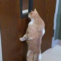 Breezeblocks. alt-J Cover.