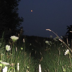 Stargazer(prod. oak x antibeatz)