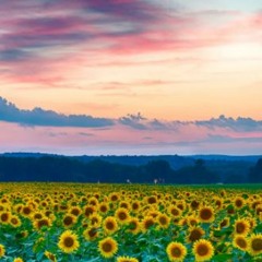 21  background clip (FREE DOWNLOAD)